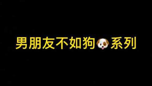 人为什么要养宠物,因为它的陪伴真的是无私的奉献 ,不计回报