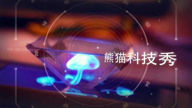 河北一农民发明“人参果”,形状似孩童能储存7年,一个就要150元