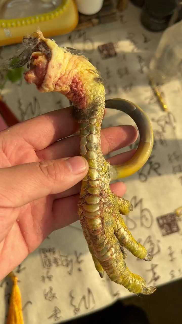 文玩鸡爪骨,如此别出心裁的设计,真佩服手艺人的脑子