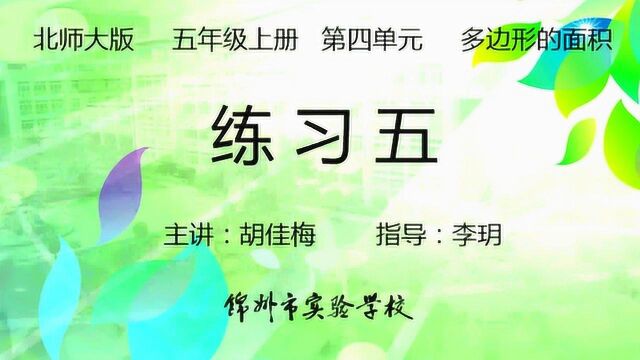 五年级数学(上)第四单元 多边形的面积 6.练习五