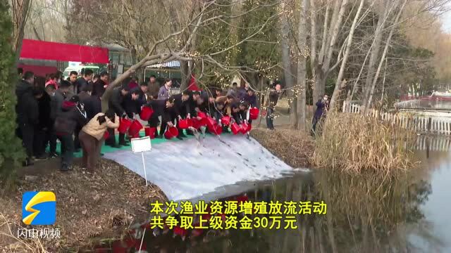 滕州34万尾鱼苗放流红荷湿地