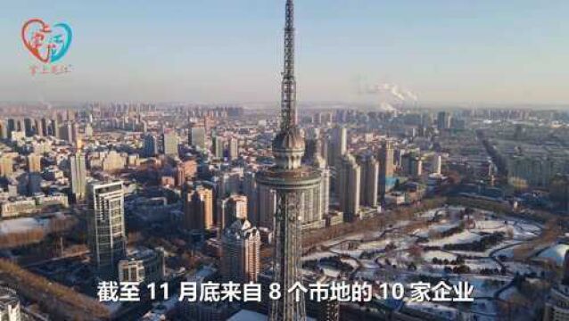 今年黑龙江10家企业主动披露温室气体排放信息