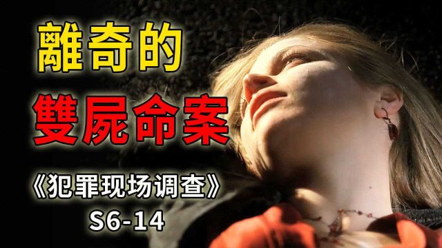 两具毫无关联的尸体,一个良知尚存的连环杀手《CSI》