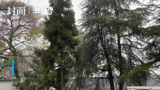 30秒丨雨夹雪也是雪 四川威远迎来初雪