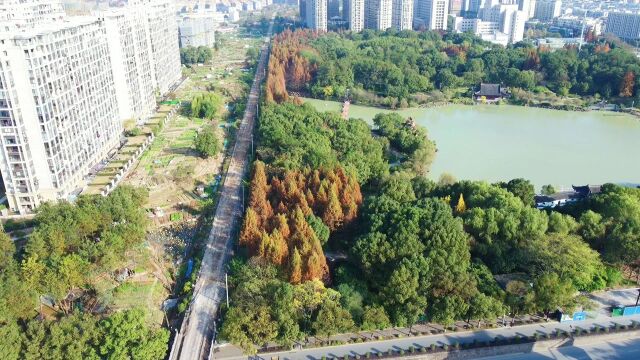 航拍浙江永康香樟公园