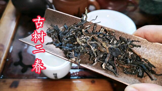 准备过年茶礼伴手礼啦 1.1到1.20日优惠活动