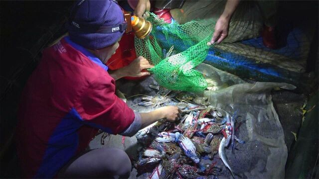 小池在海里下挂网抓螃蟹,花蟹收获十多斤,能卖600左右两个人分