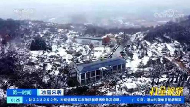 瑞雪兆丰年!山东多地迎2022年首场降雪,街头银装素裹