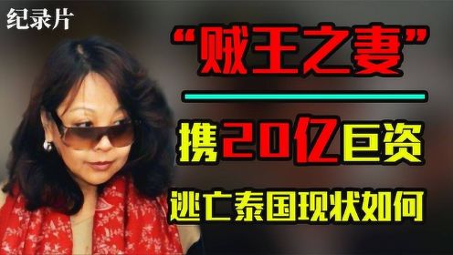 “贼王”张子强被枪决后，他被冻结的20亿巨款，是如何被取走的？#好片推荐官#