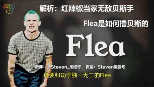 【中字】解析:红辣椒当家无敌贝斯手Flea