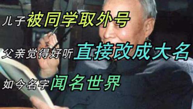 儿子被同学取外号,父亲觉得好听直接改成大名,如今名字闻名世界