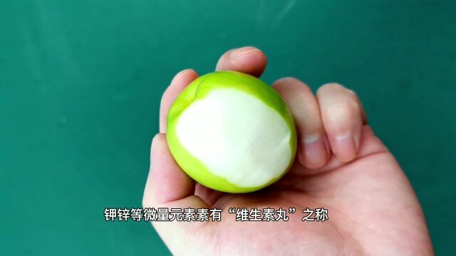 比鸡蛋还大的枣子你见过吗?