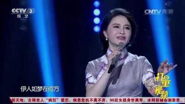 一首很经典的音乐,梦苇的《月如钩》,唯美动听