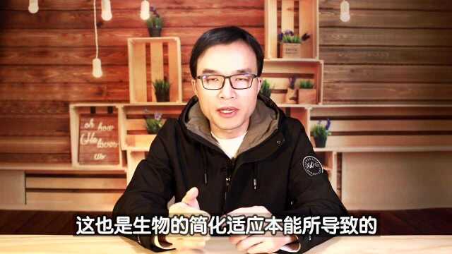 可怕的自证预言,限制你人生的“元凶”