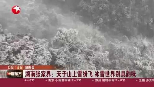 湖南张家界:天子山上雪纷飞 冰雪世界别具韵味