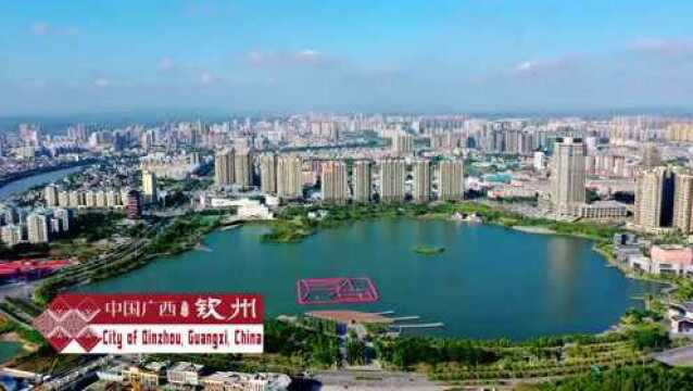 钦州“城市家书”向全球送新春祝福