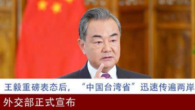 王毅重磅表态后,“中国台湾省”迅速传遍两岸,外交部正式宣布