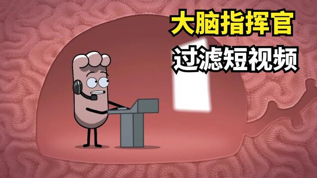 大脑里住的分析师,每天给你过滤视频,把标题党看得明明白白!