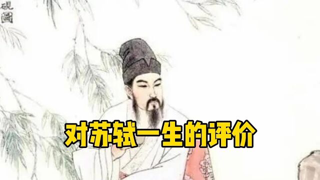 小伙对苏轼有怎么样的评价,我们听听他怎么说