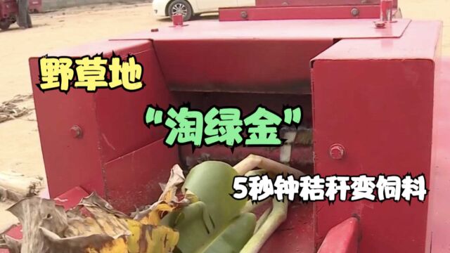 野草地“淘绿金”!哈尔滨牛人发明通吃碎草机,5秒钟秸秆变饲料