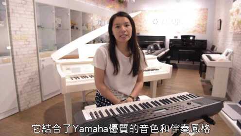 YAMAHA PSR-E273电子琴中文介绍演示—键盘中国