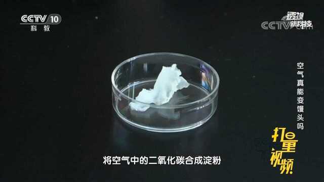 空气变馒头!我国科学家首次在实验室人工合成淀粉