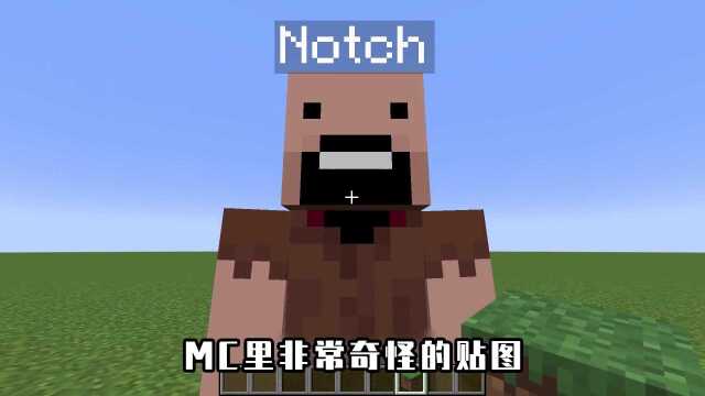 生铜其实是太空人?MC的离奇贴图,Notch也是太空人