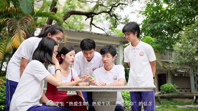 东莞中学公开招聘31名教师 | 有编制