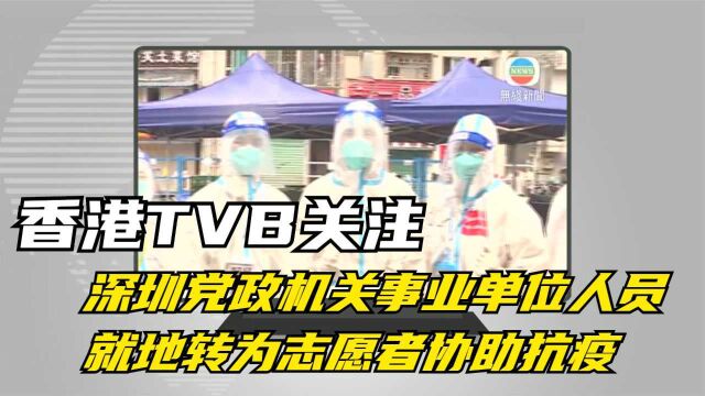 香港TVB关注深圳党政机关事业单位人员就地转为志愿者协助抗疫