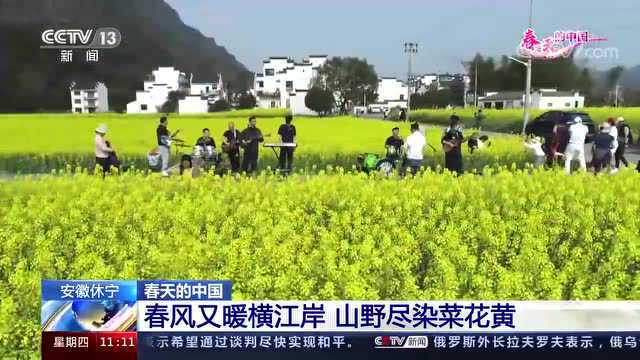 【早安,黄山】我市新增9家智能工厂和数字化车间!黄山毛峰等名茶陆续开园采摘