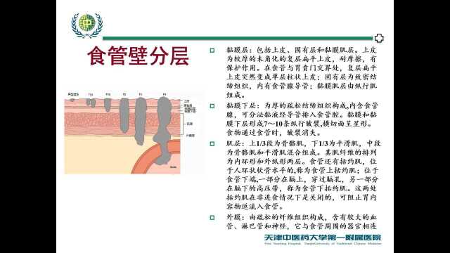 中西医结合肿瘤食管癌(天津中医药大学选修课网课)