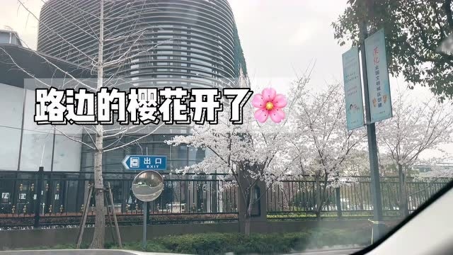 您有一条来自“ 大白”的Vlog丨\