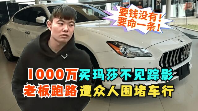 1000万买玛莎不见踪影,老板跑路众人围堵车行:要钱没有要命一条