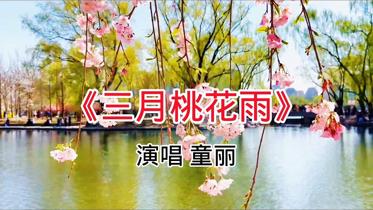 童丽演唱的经典歌曲《三月桃花雨,好听极了!