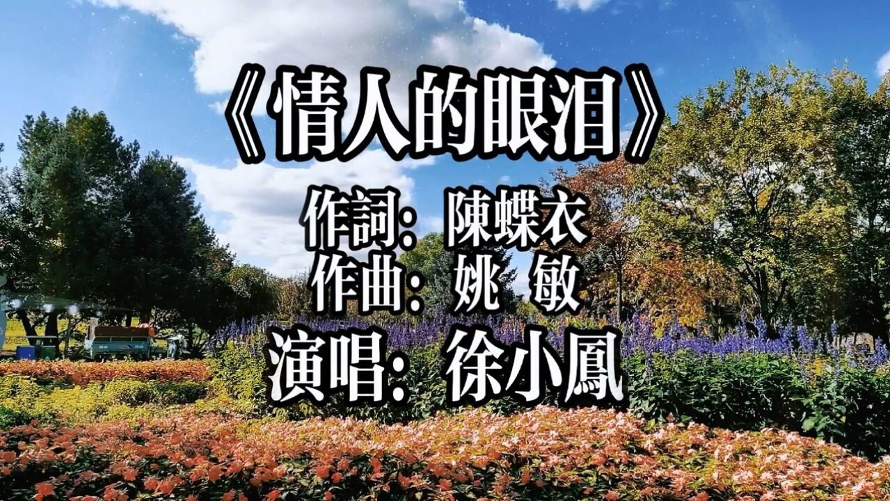徐小凤《情人的眼泪》情歌中的经典,听着陶醉了!