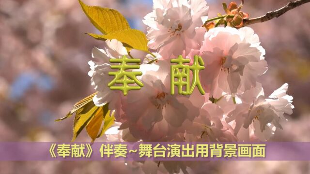 歌曲《奉献》伴奏 舞台演出用大屏幕背景