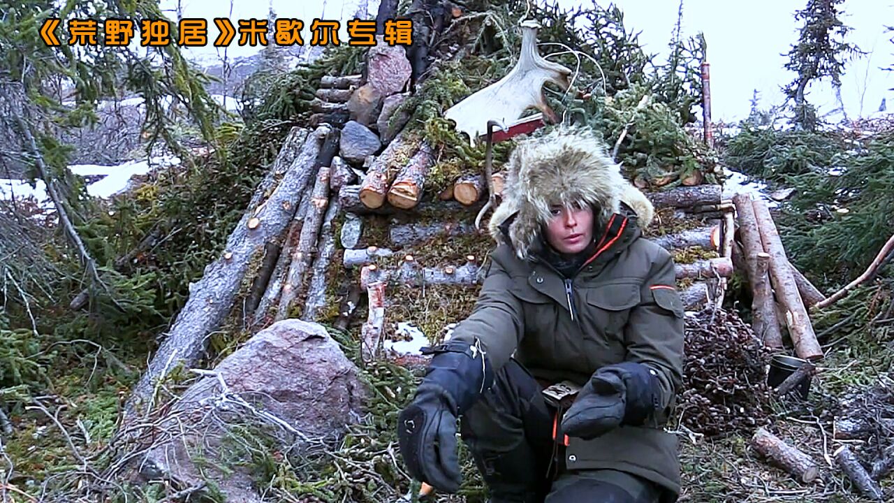 荒野独居米歇尔专辑,靠吃草坚持50天,差点命丧北极,纪录片