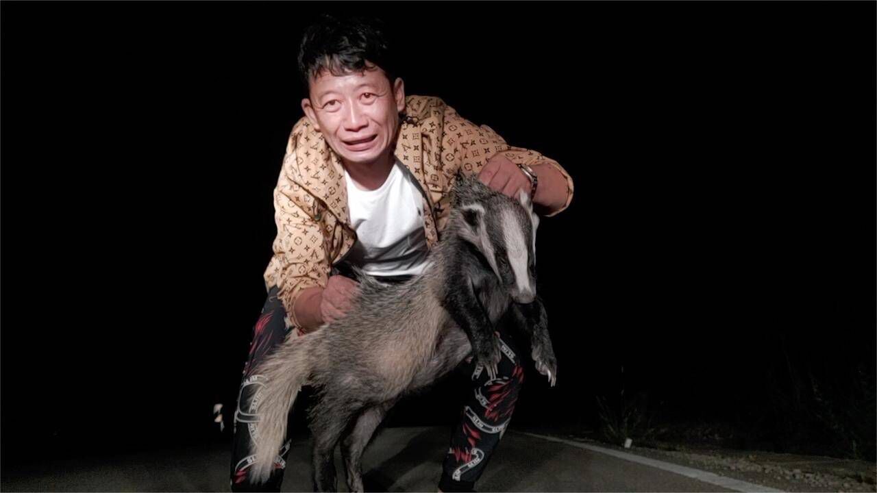 马路中间发现一只野生动物,尖嘴獠牙体型巨大,看到都害怕