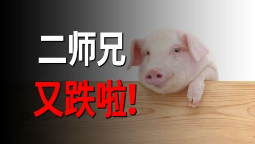 3月猪肉价格同比暴跌41.4%，养猪户亏大了，卖一头亏500！#财经热榜短视频征集#
