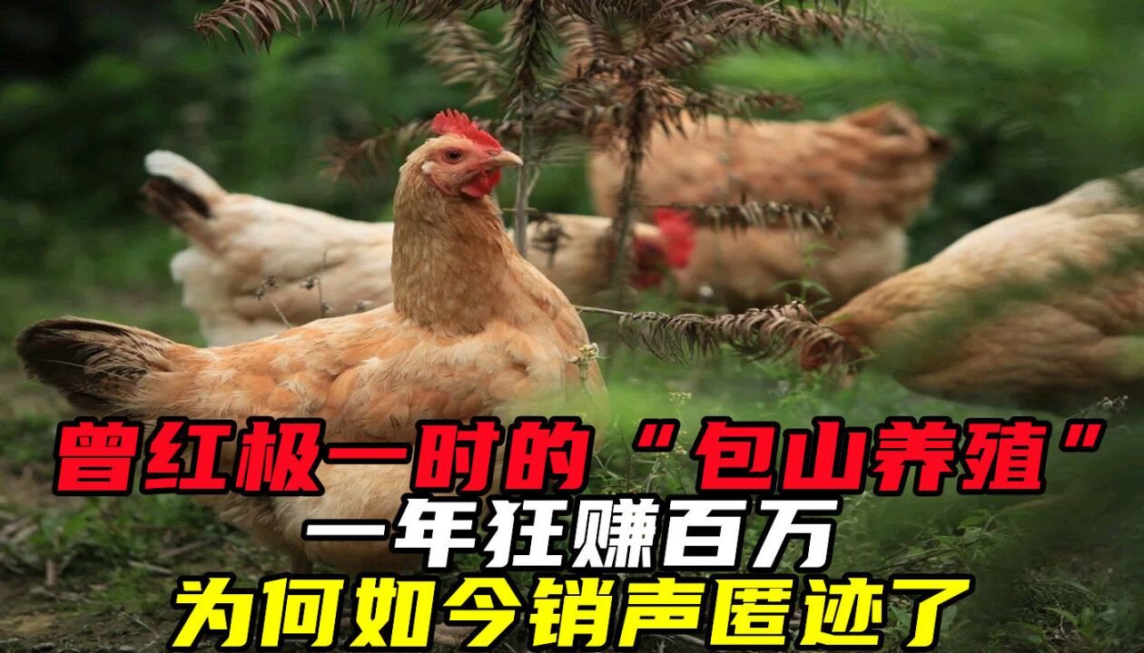 曾红极一时的"包山养殖,一年狂赚百万,为何如今销声匿迹了?