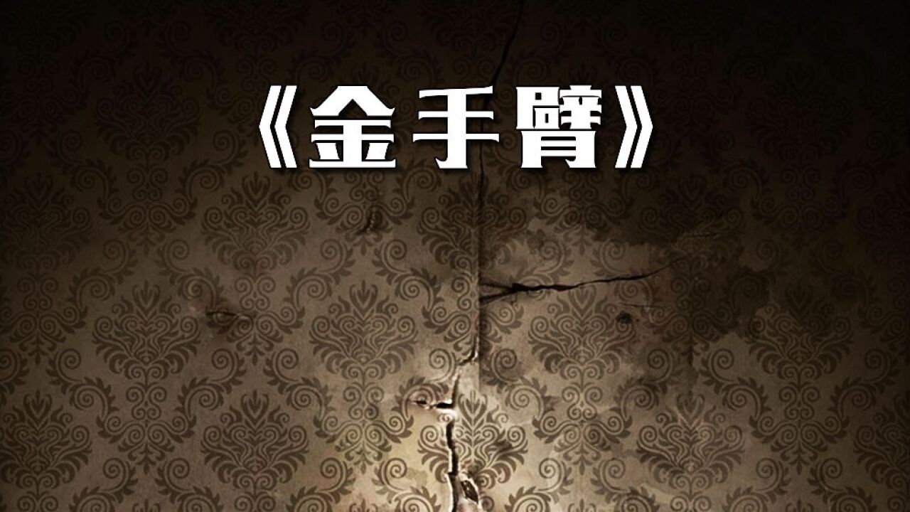 一条手臂引发的血案,惊悚50州第一季《金手臂》