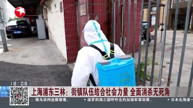 上海浦东三林:街镇队伍结合社会力量 全面消杀无死角