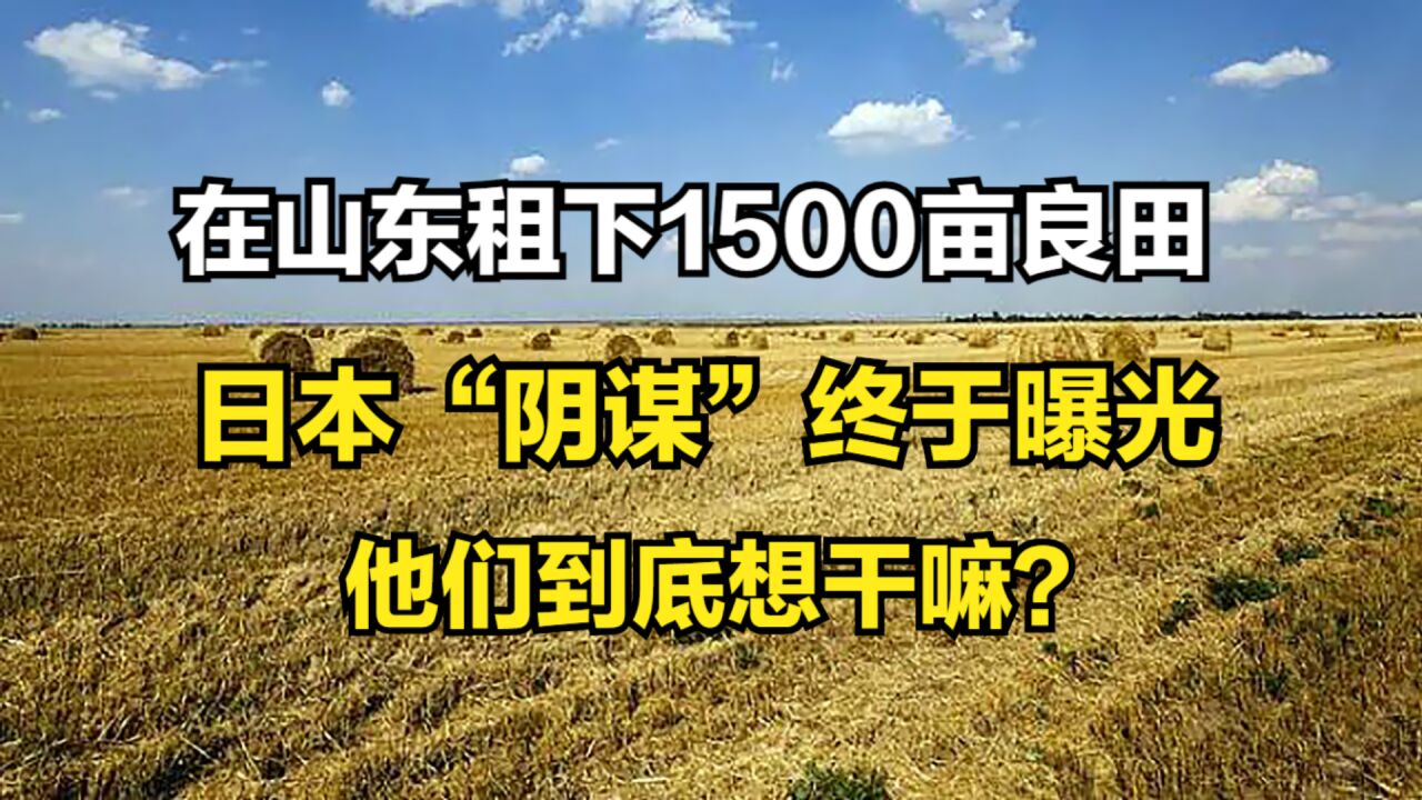 2006年,日本人在中國租下1500畝地,為何閒置5年什麼都不做?