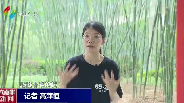 @畊宏男孩女孩,看看全网跟练的《本草纲目》是否适合你