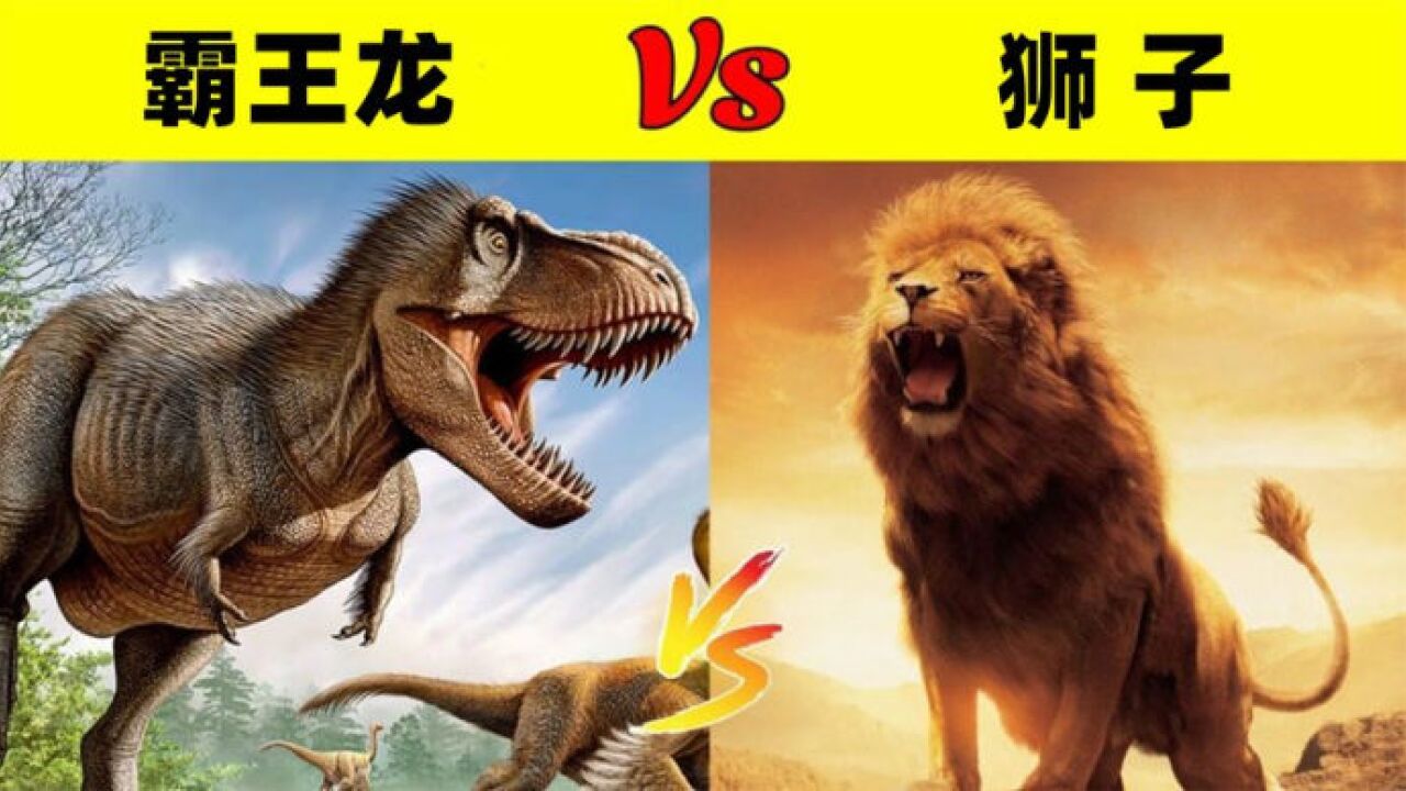 霸王龙vs50只狮子图片