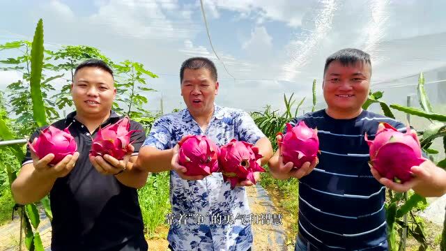 微纪录片丨这五年,镌刻贵州光荣与梦想