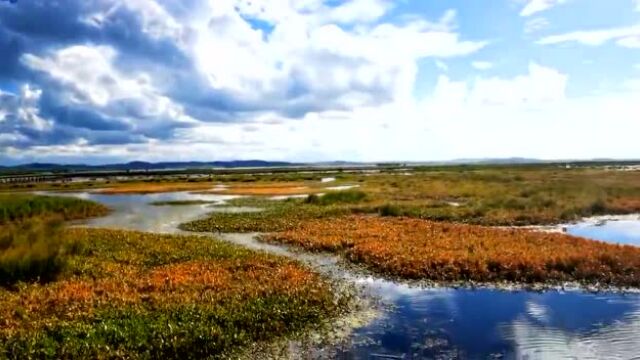 【阿坝旅游网】若尔盖花湖、黄河九曲第一湾4月28日开园啦!!!