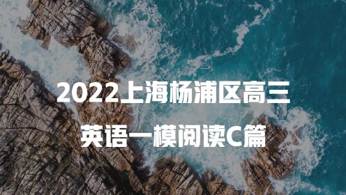 2021-2022上海杨浦区高三英语一模阅读C篇