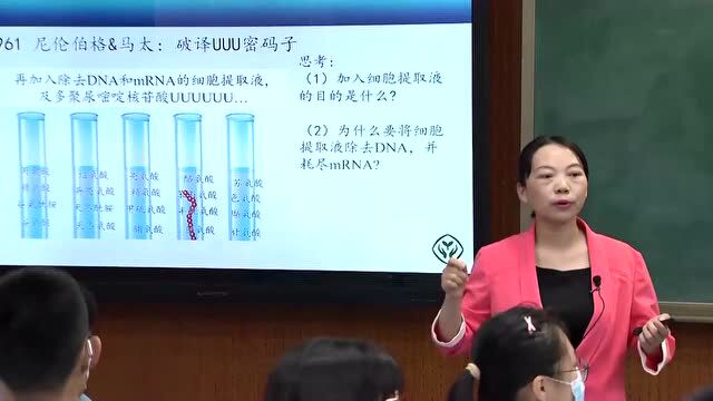 【教学案例】基于教材框架的单元整体教学设计(全场)