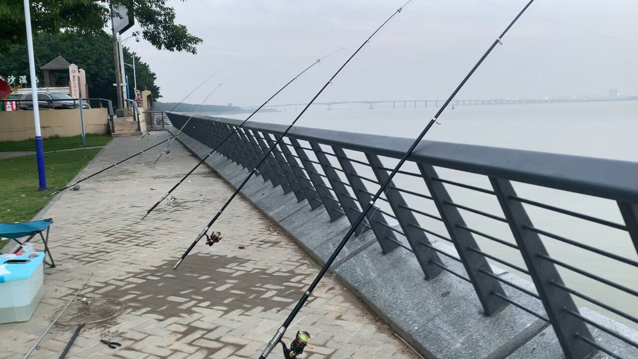 南沙十九涌钓鱼的人不多,海杆放满整排,钓鱼真快乐